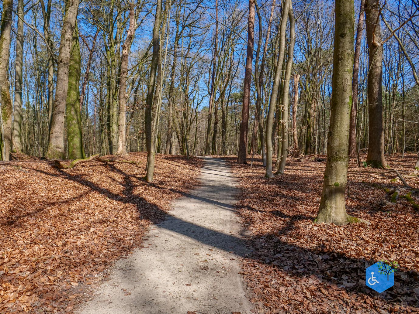 Ermelo_Familiepad_Leuvenumse_bossen_04-04-2025-26