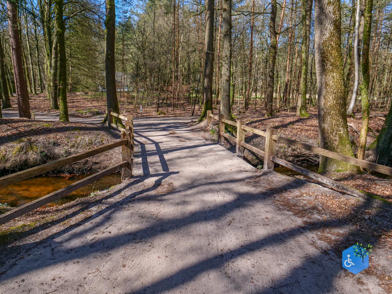 Ermelo_Familiepad_Leuvenumse_bossen_04-04-2025-27