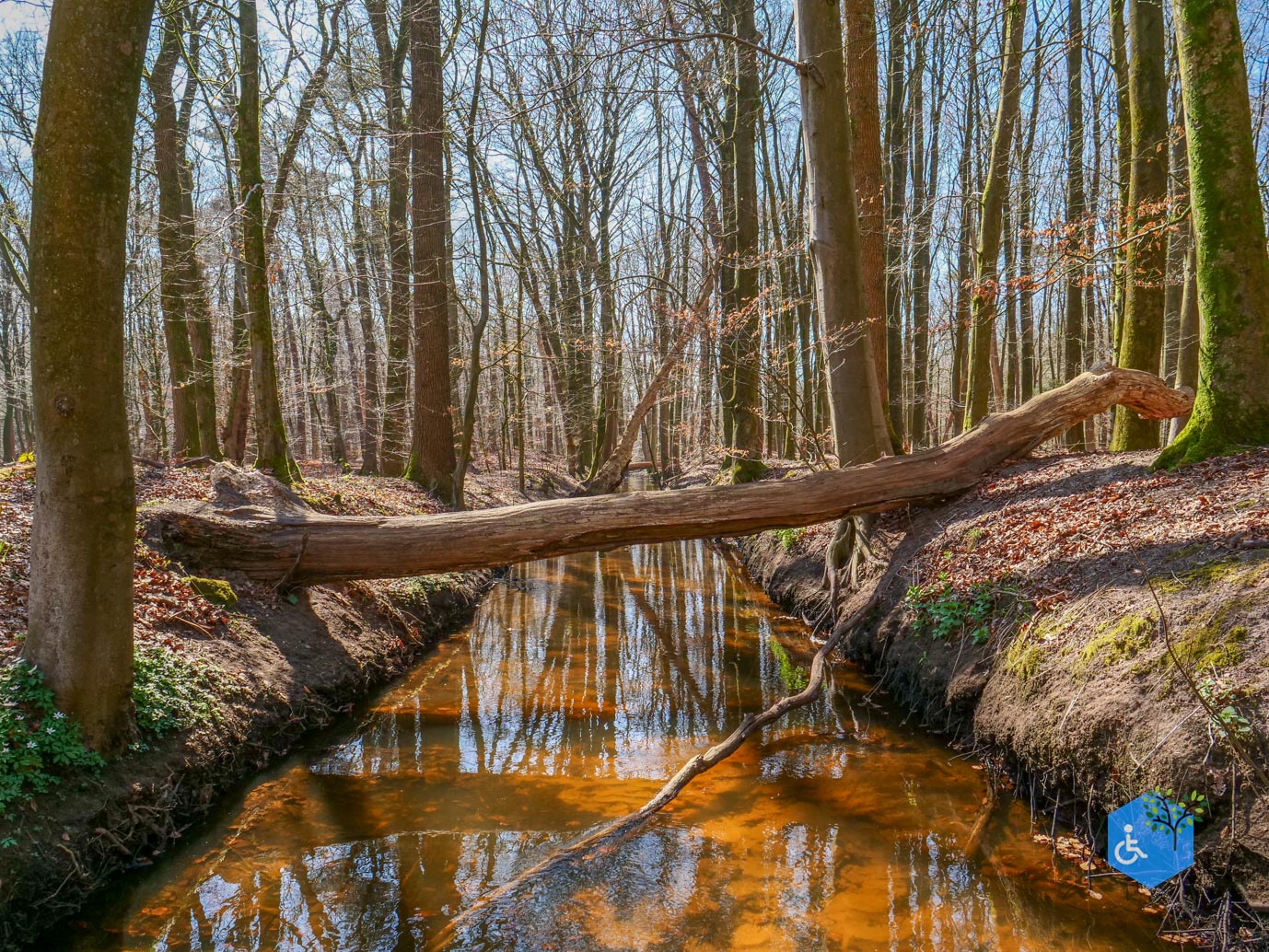 Ermelo_Familiepad_Leuvenumse_bossen_04-04-2025-31