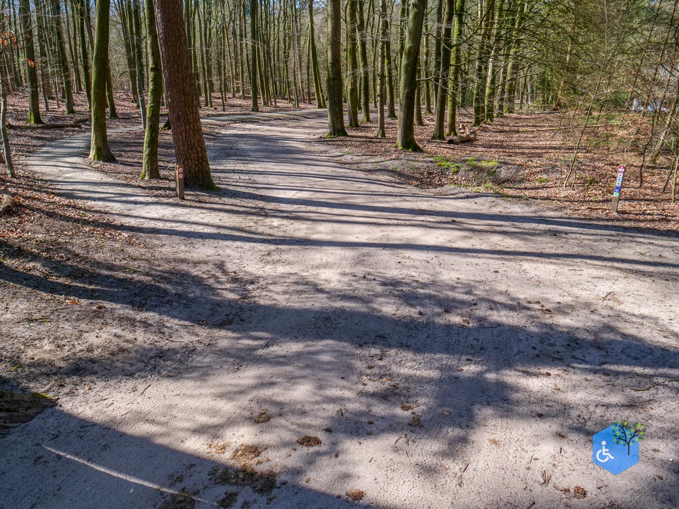 Ermelo_Familiepad_Leuvenumse_bossen_04-04-2025-32