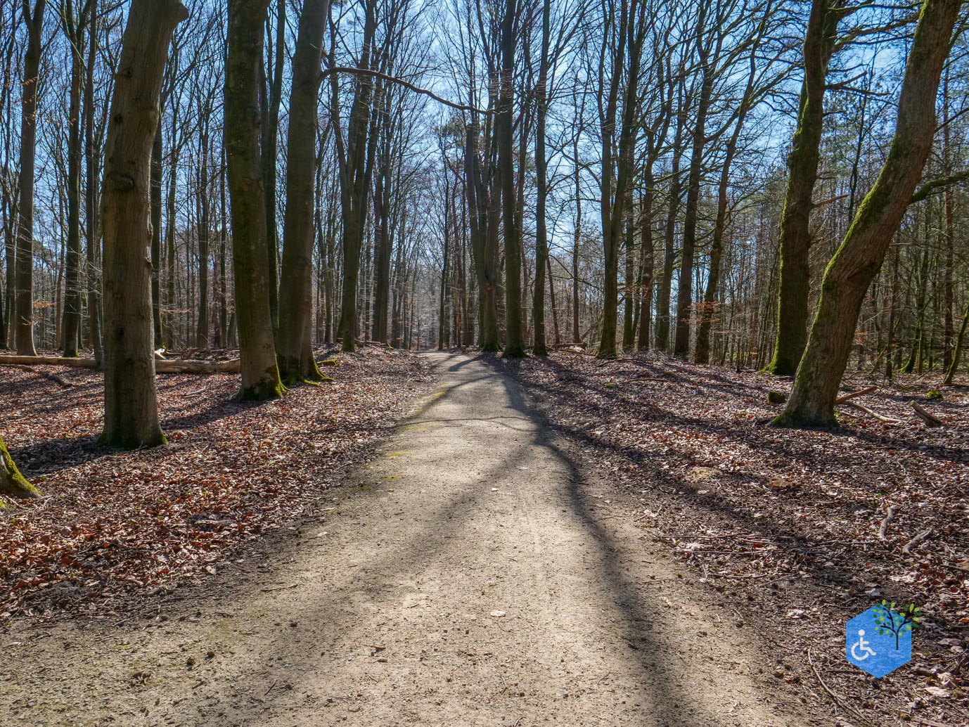 Ermelo_Familiepad_Leuvenumse_bossen_04-04-2025-33
