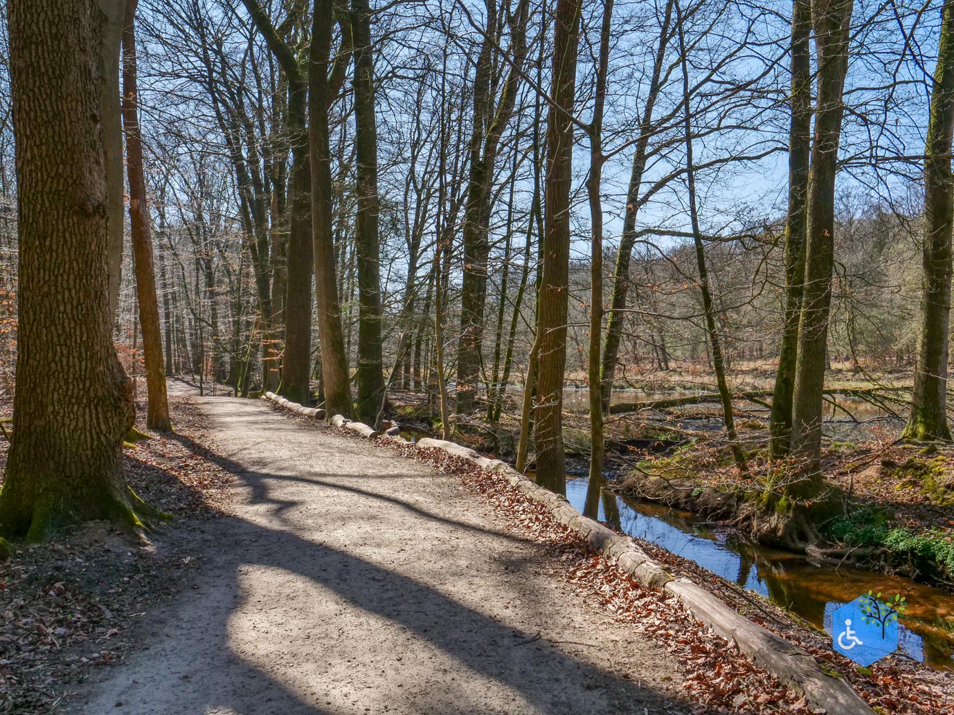 Ermelo_Familiepad_Leuvenumse_bossen_04-04-2025-36