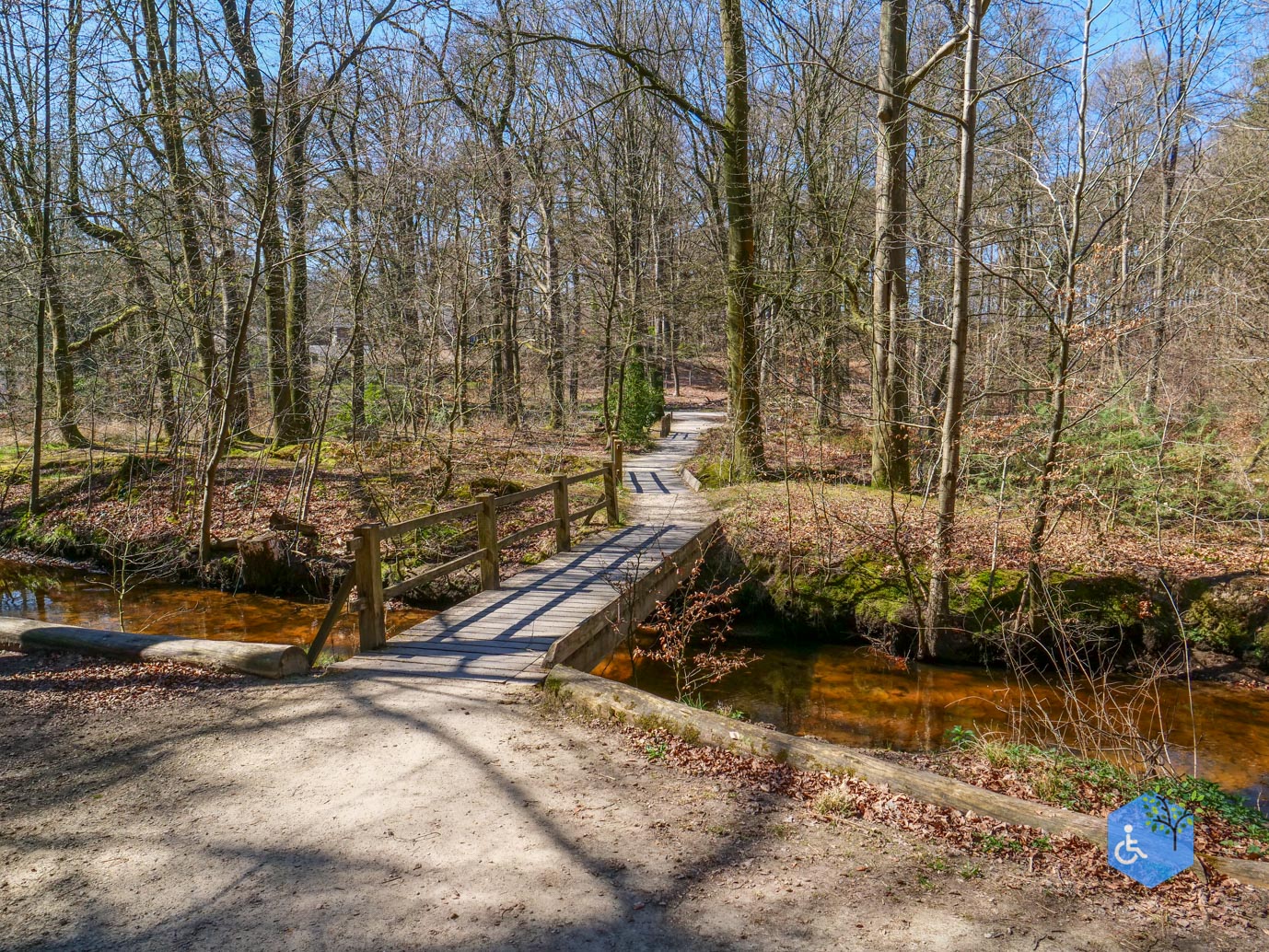 Ermelo_Familiepad_Leuvenumse_bossen_04-04-2025-37