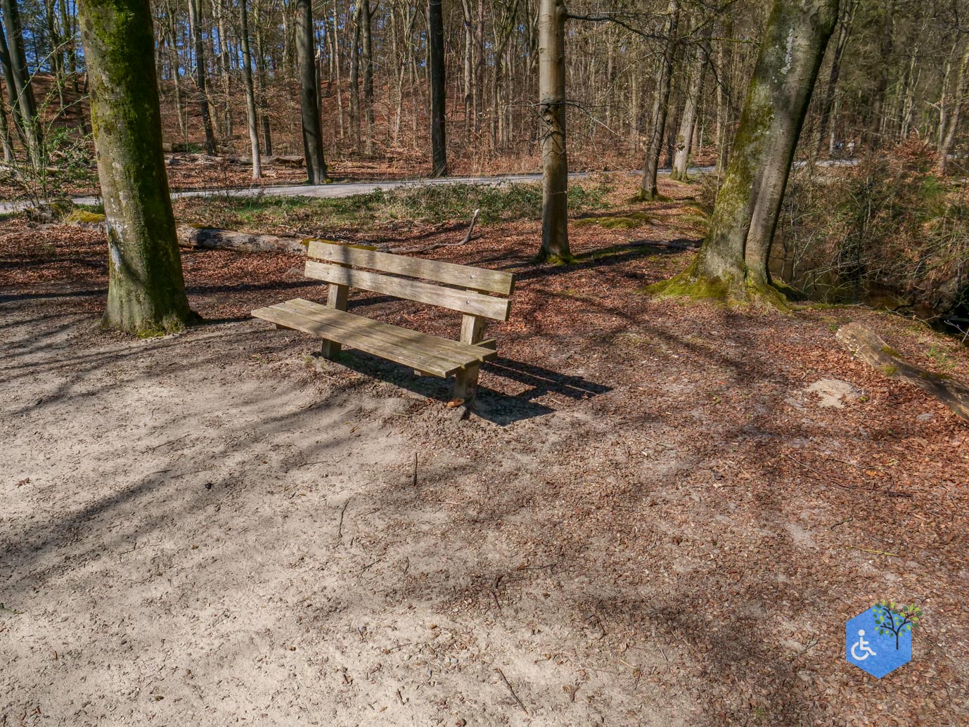 Ermelo_Familiepad_Leuvenumse_bossen_04-04-2025-39