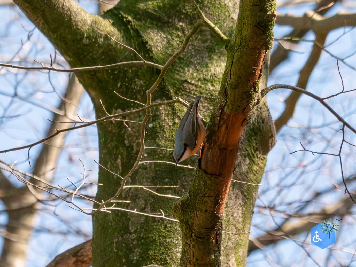 Ermelo_Familiepad_Leuvenumse_bossen_04-04-2025-43