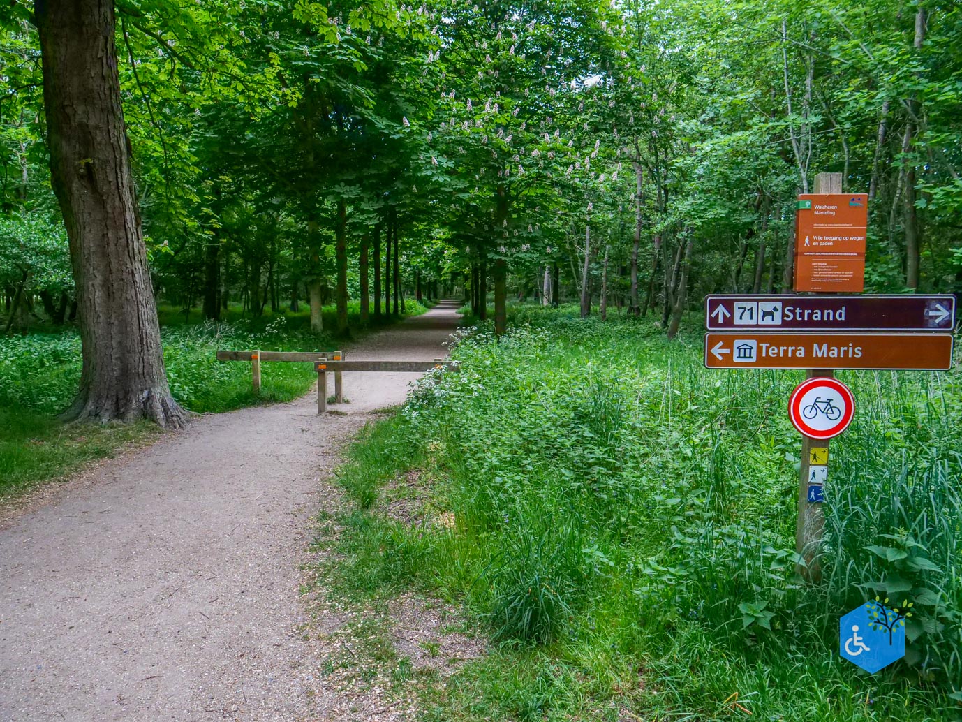 Oostkapelle_Rondje_Kasteel_Westhove_16-05-2025-04