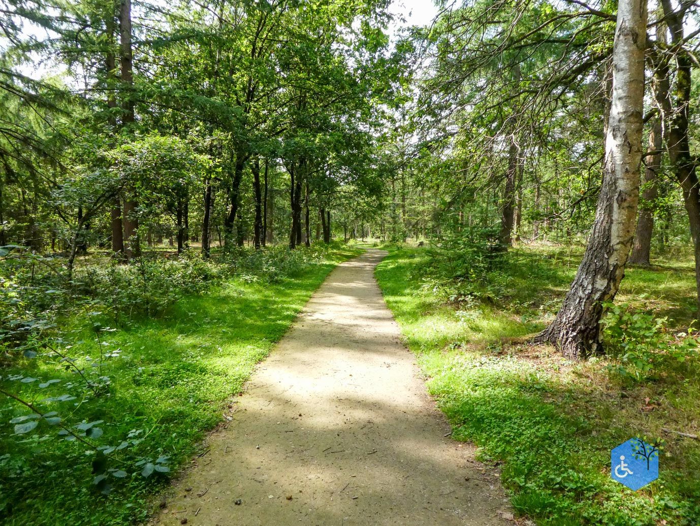 Boxtel_Van_Tienhoven_Route_30-07-2025-10