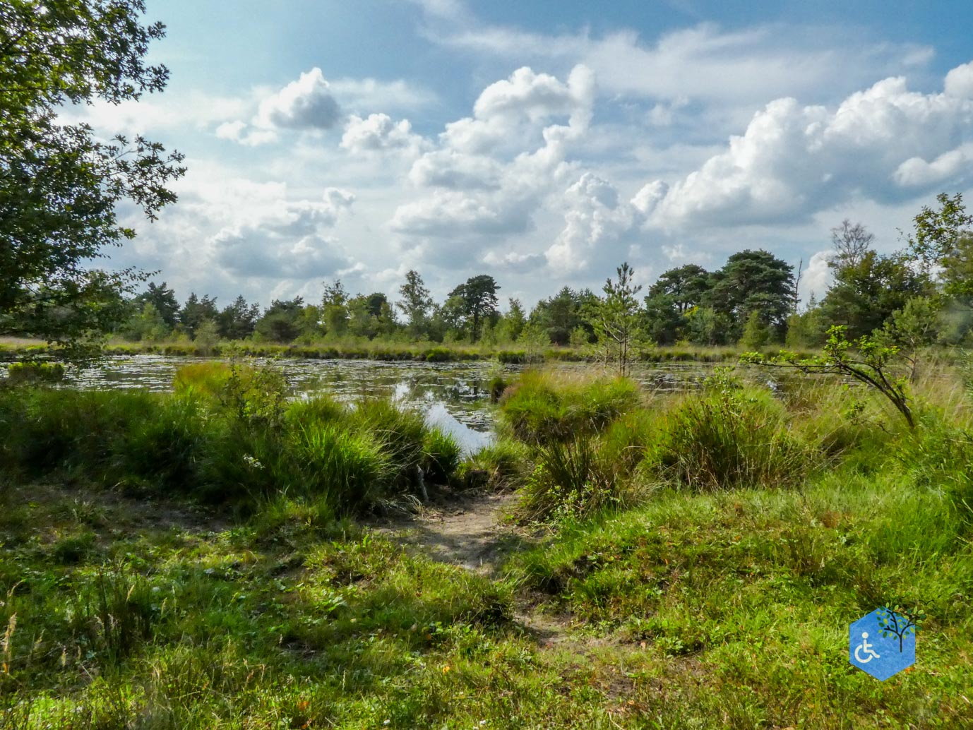 Boxtel_Van_Tienhoven_Route_30-07-2025-22