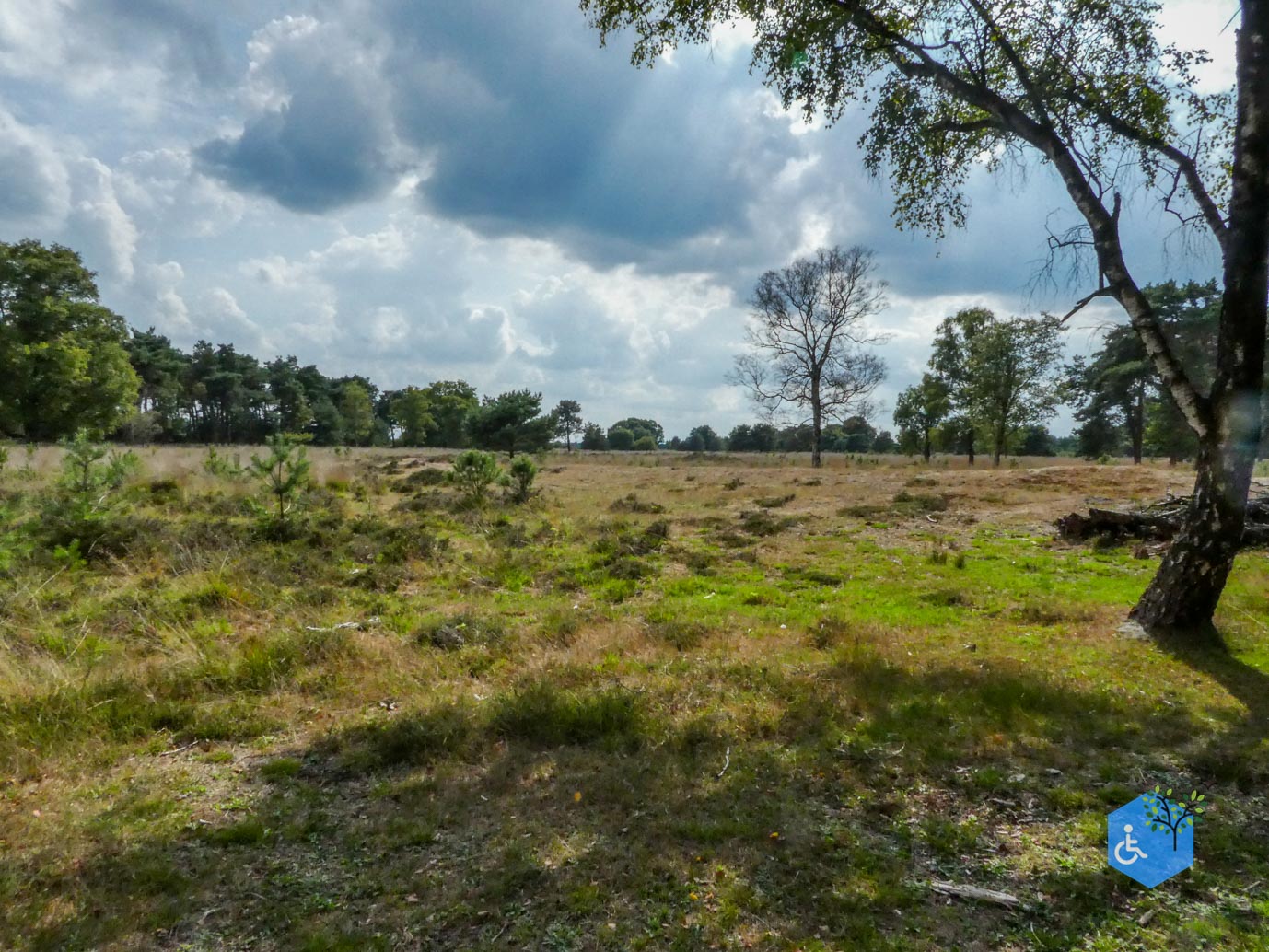 Boxtel_Van_Tienhoven_Route_30-07-2025-26