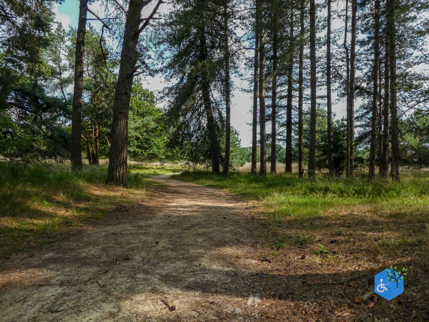 Boxtel_Van_Tienhoven_Route_30-07-2025-28