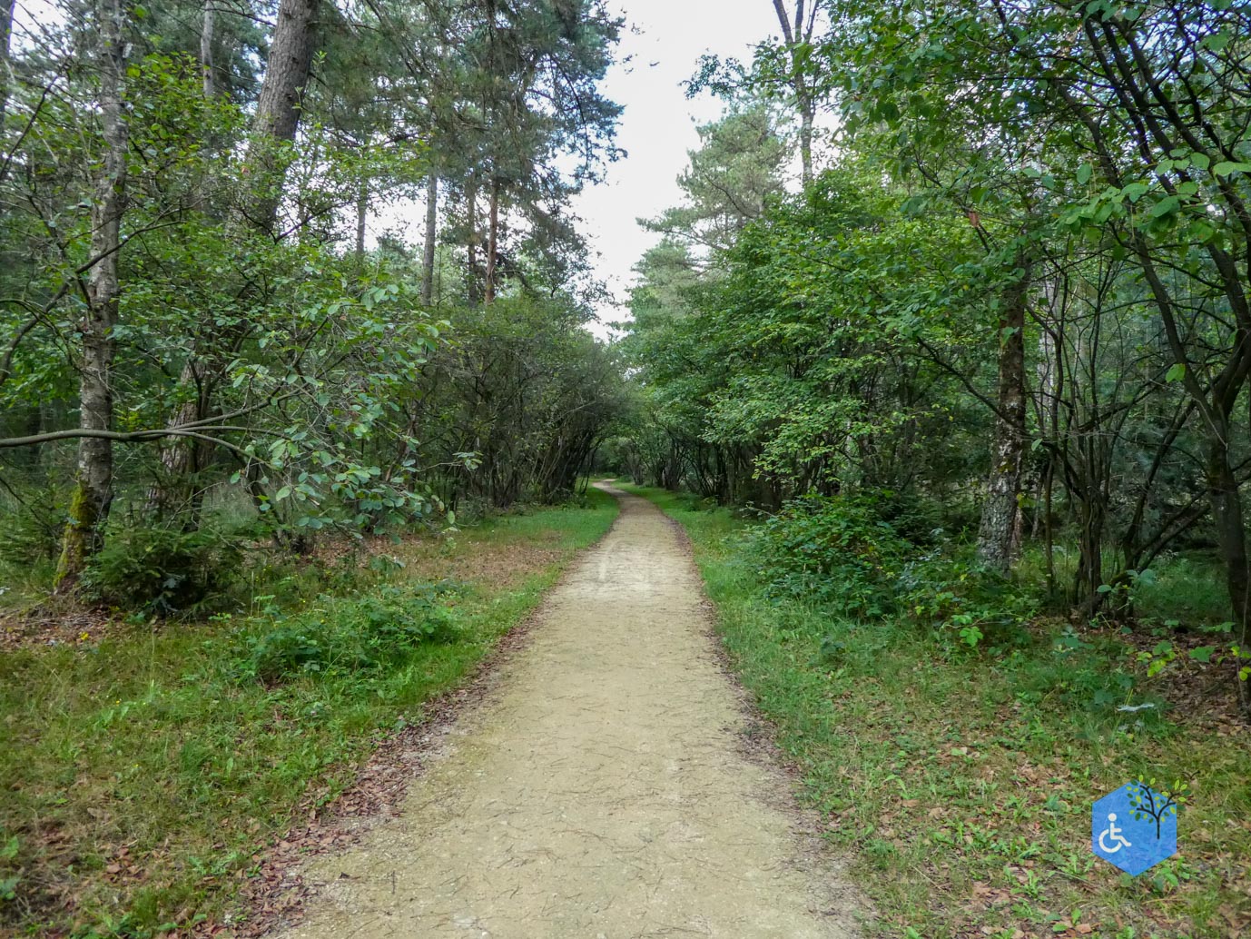 Boxtel_Van_Tienhoven_Route_30-07-2025-41