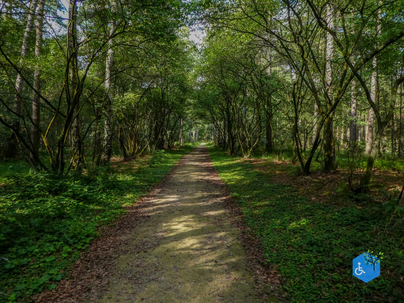 Boxtel_Van_Tienhoven_Route_30-07-2025-46
