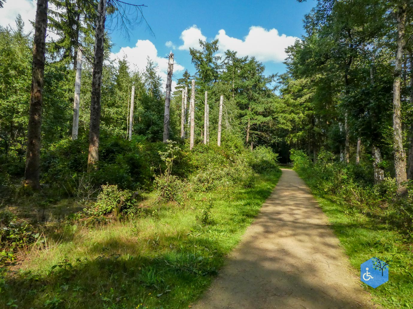 Boxtel_Van_Tienhoven_Route_30-07-2025-49