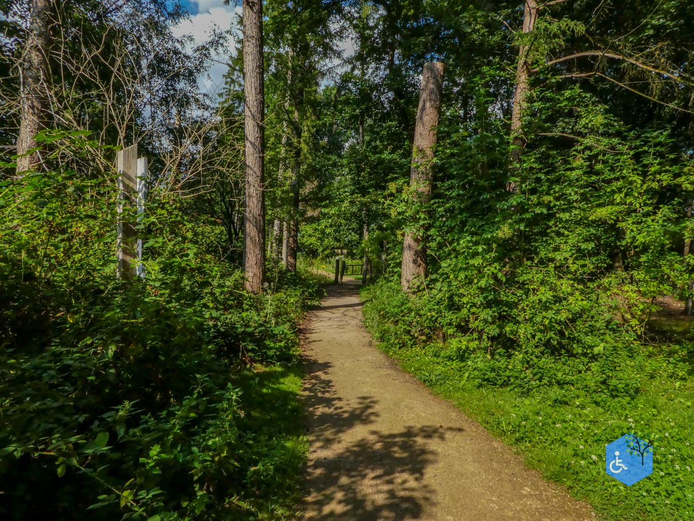 Boxtel_Van_Tienhoven_Route_30-07-2025-50