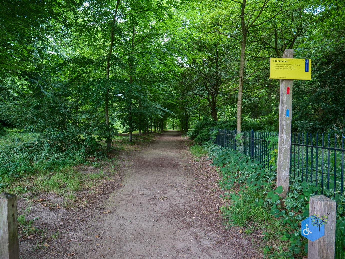 Brummen_Landgoed_Voorstonden_04-07-2025-09