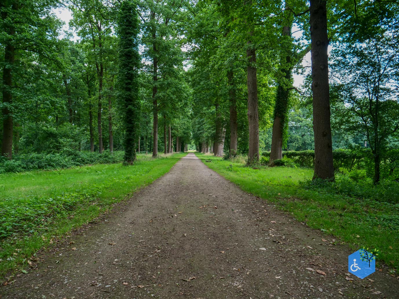 Brummen_Landgoed_Voorstonden_04-07-2025-11