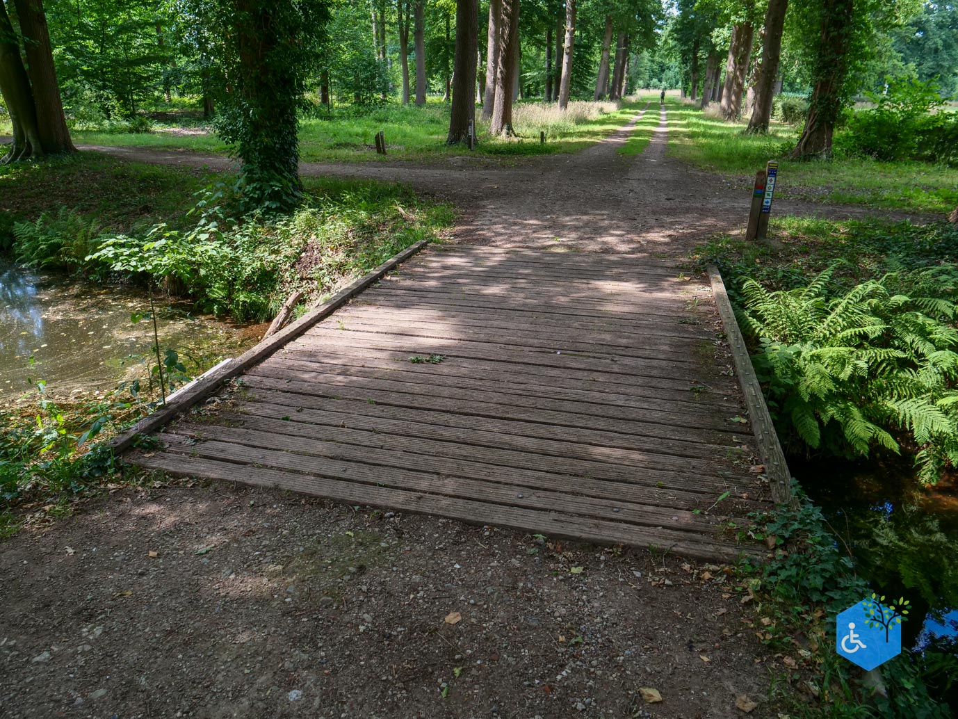 Brummen_Landgoed_Voorstonden_04-07-2025-12