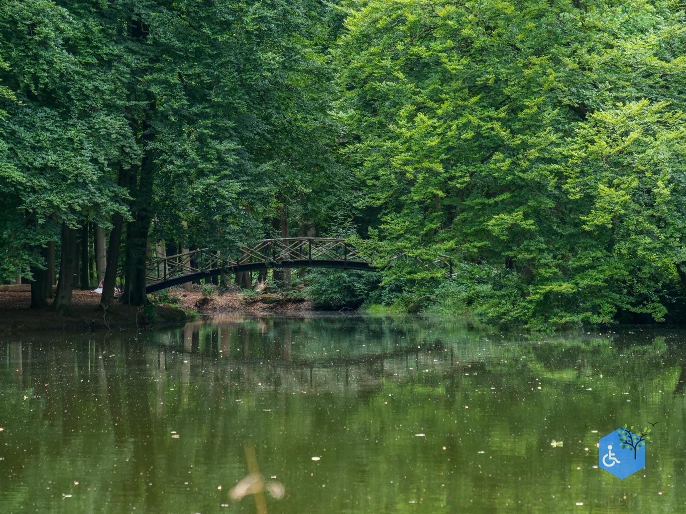 Brummen_Landgoed_Voorstonden_04-07-2025-15