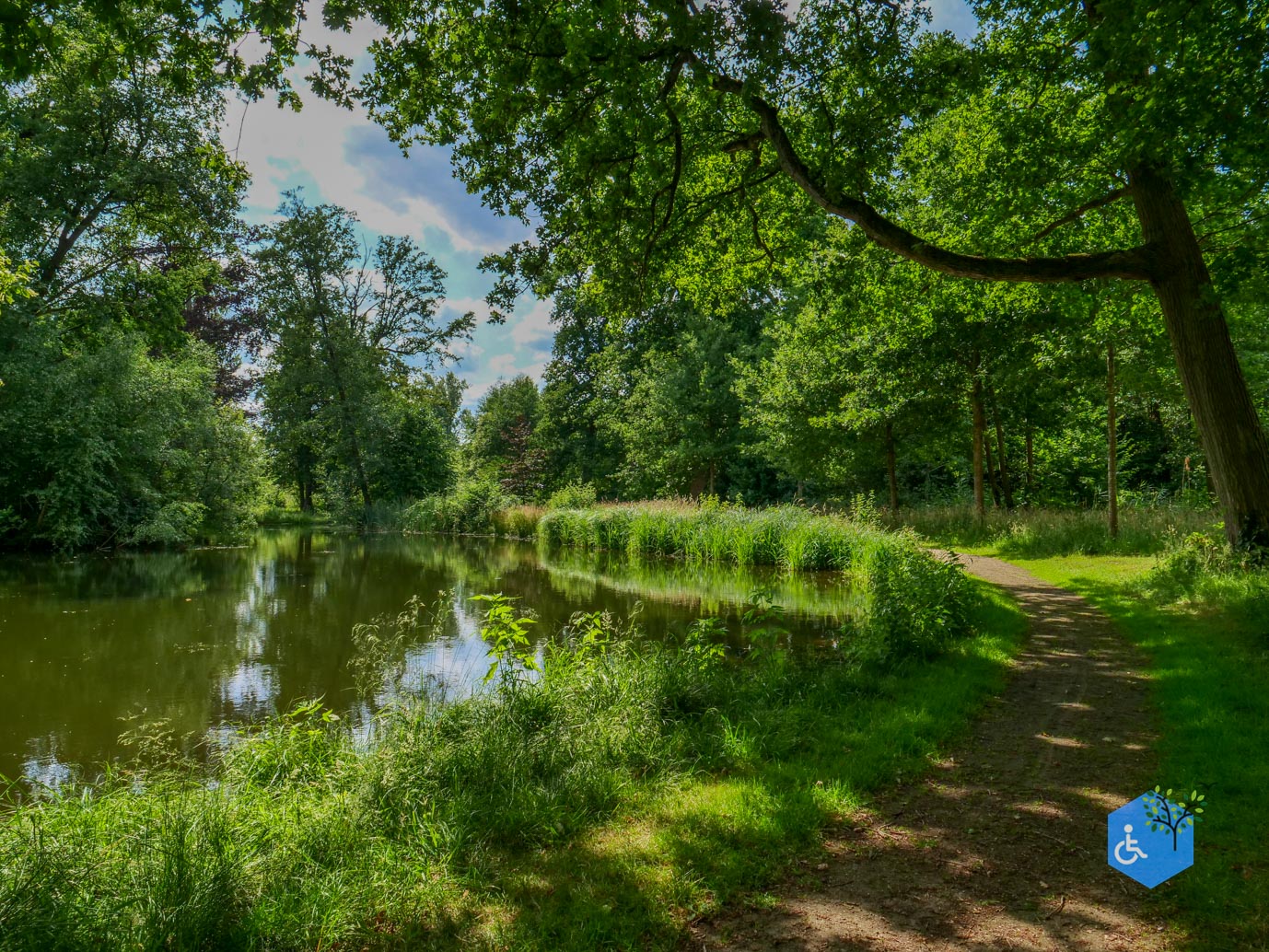 Brummen_Landgoed_Voorstonden_04-07-2025-17
