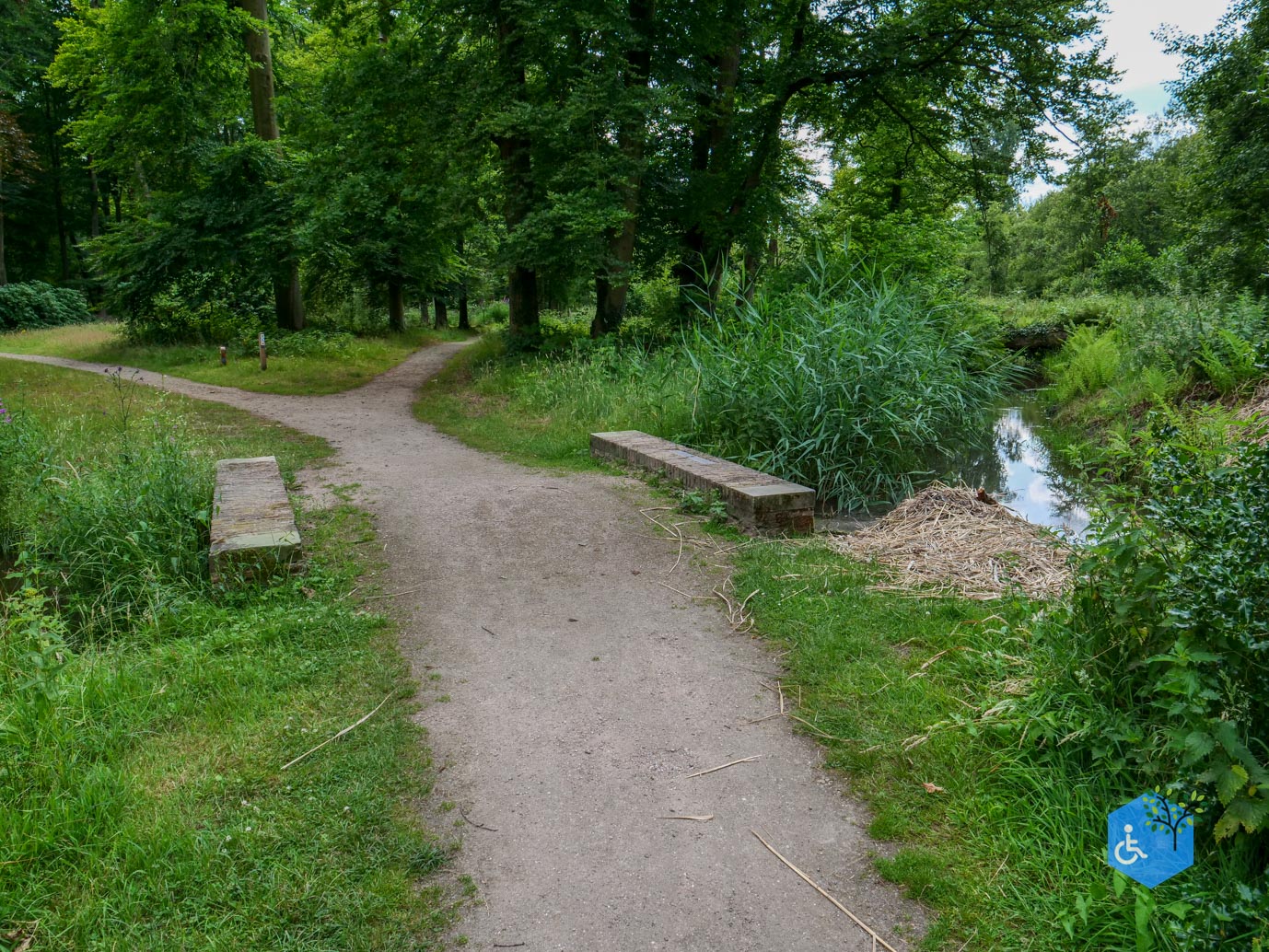 Brummen_Landgoed_Voorstonden_04-07-2025-18