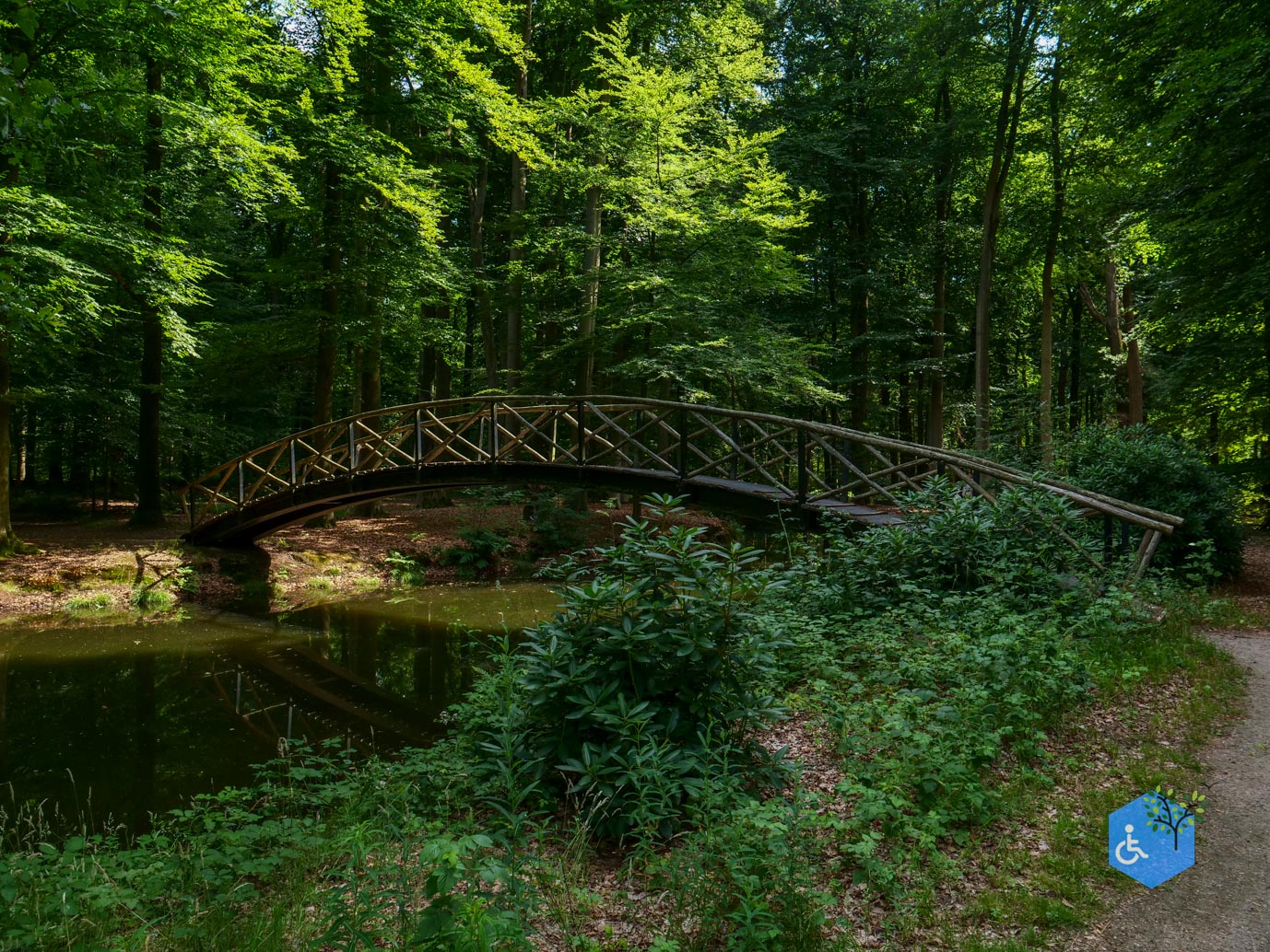 Brummen_Landgoed_Voorstonden_04-07-2025-23