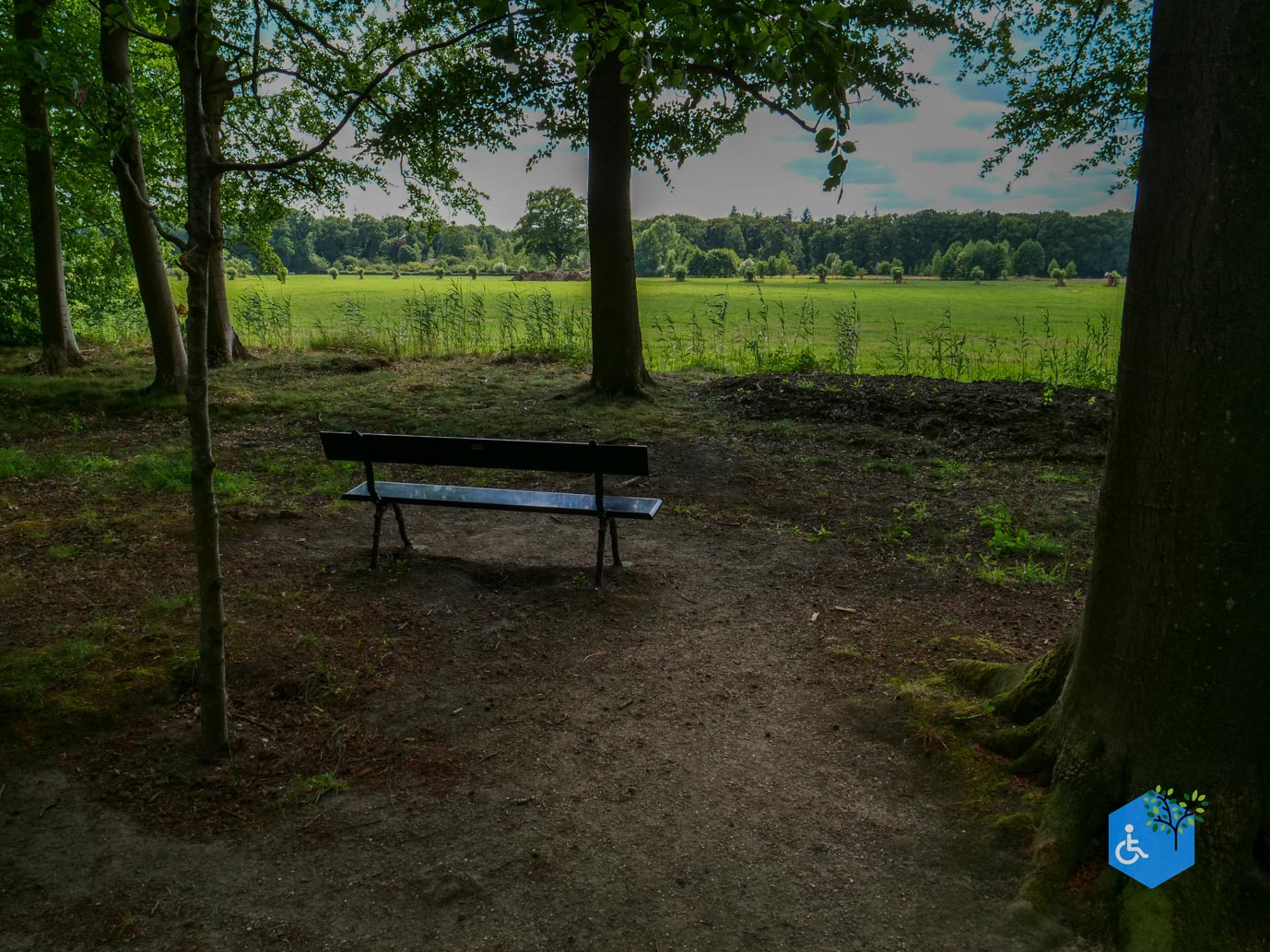 Brummen_Landgoed_Voorstonden_04-07-2025-26