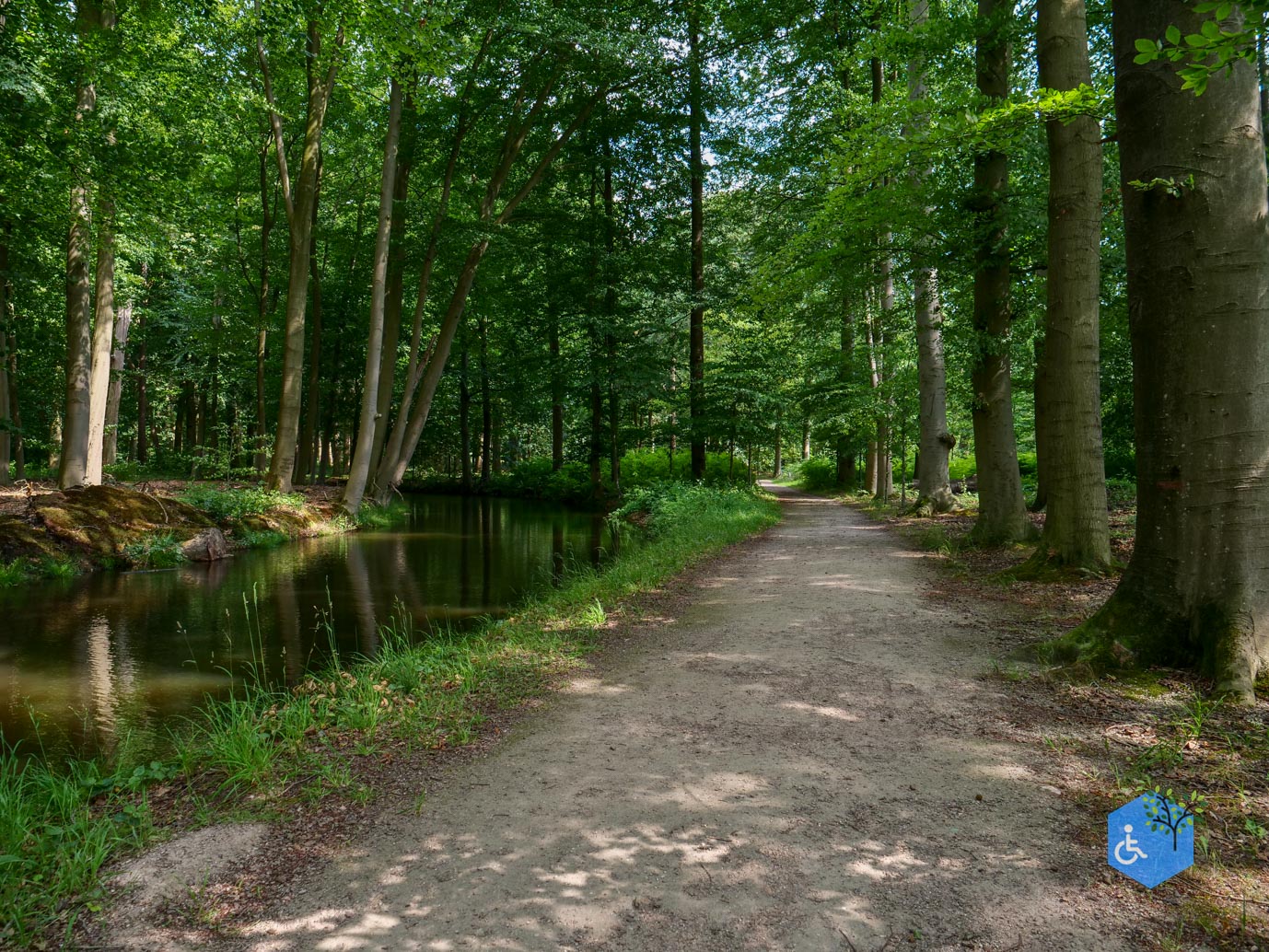 Brummen_Landgoed_Voorstonden_04-07-2025-27