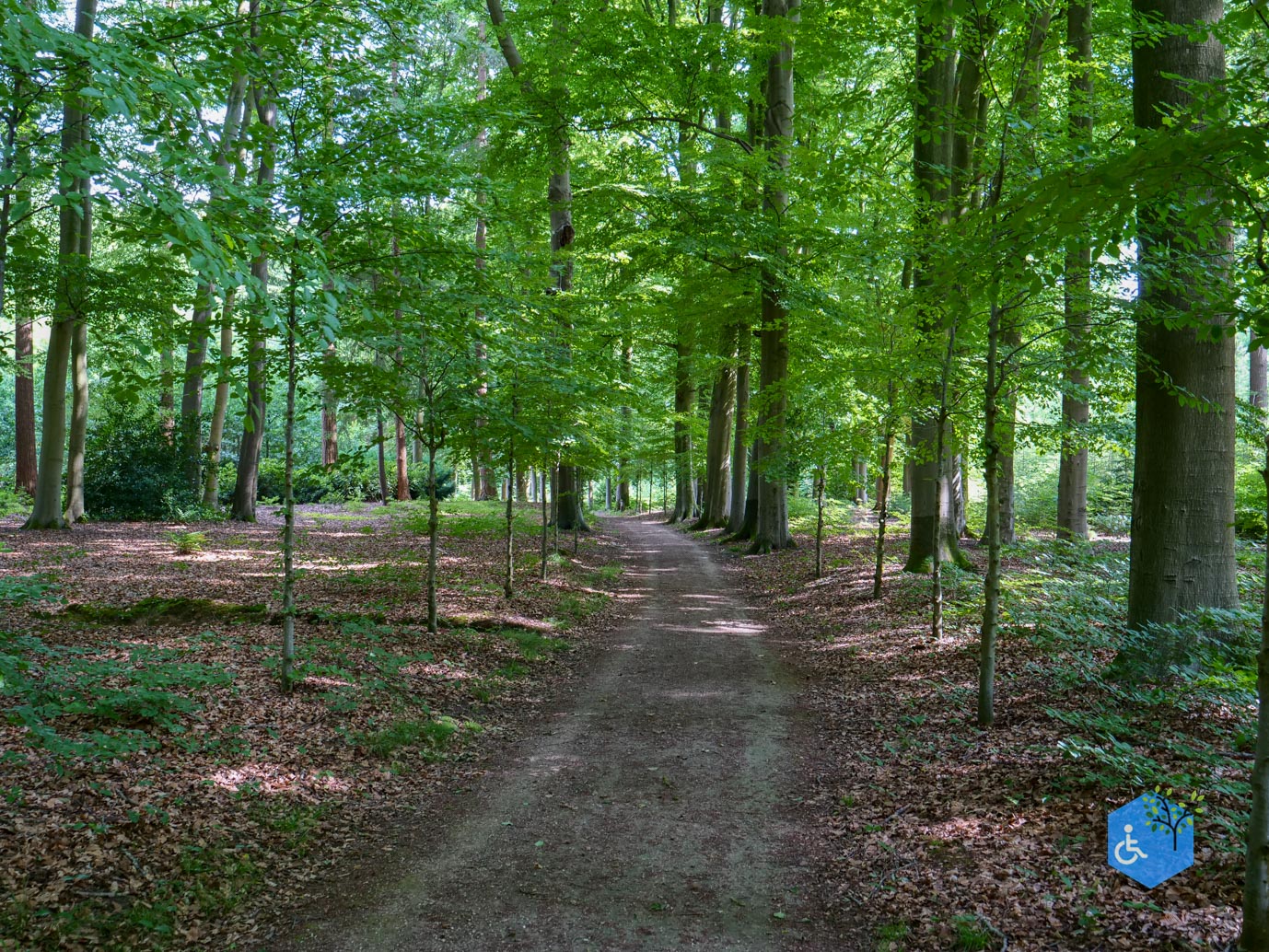 Brummen_Landgoed_Voorstonden_04-07-2025-28