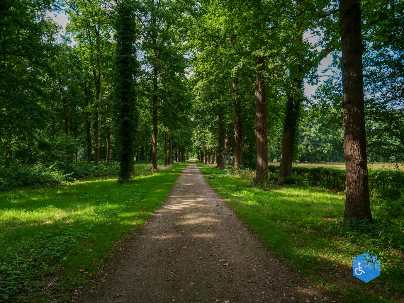 Brummen_Landgoed_Voorstonden_04-07-2025-30