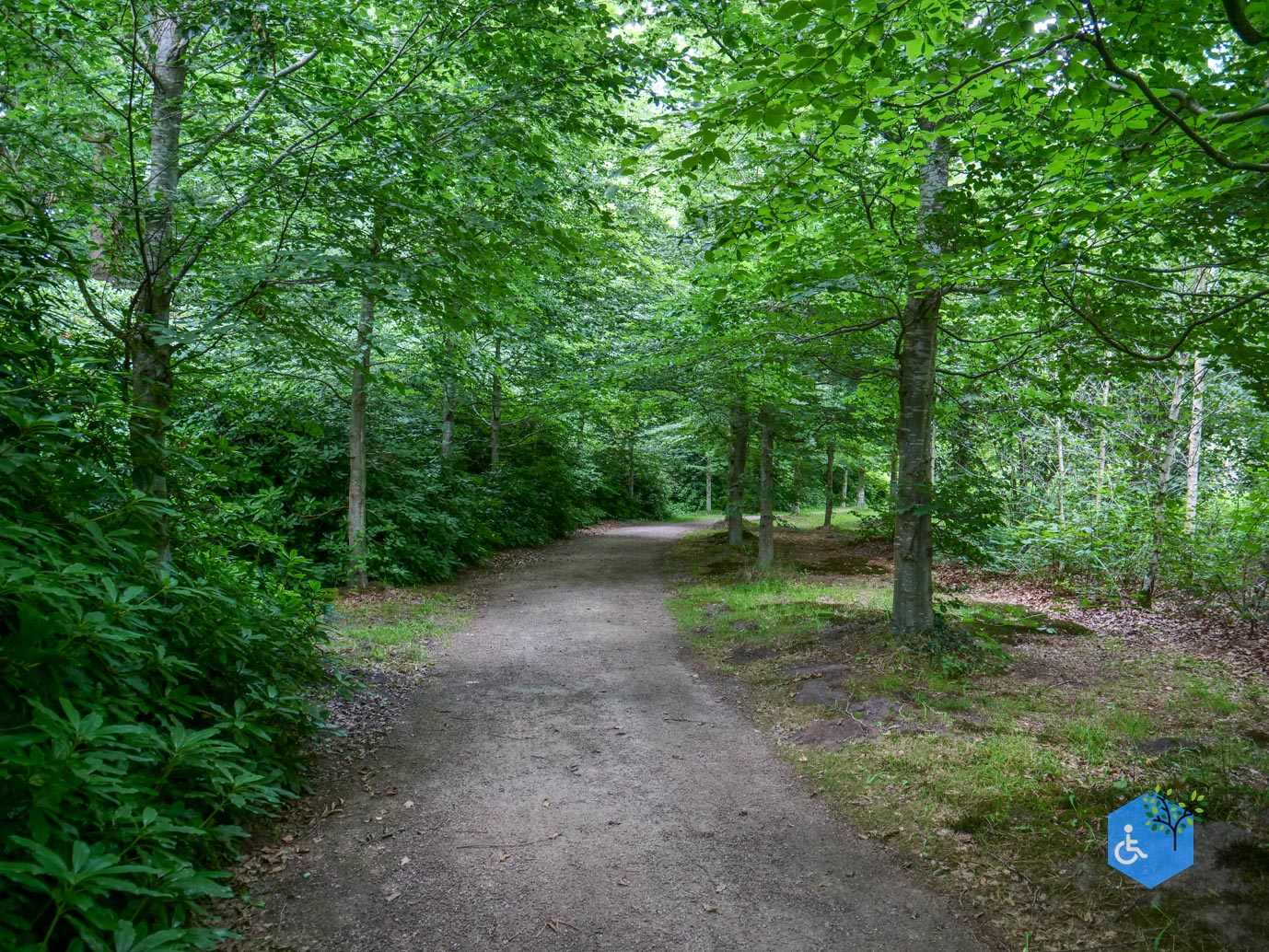 Brummen_Landgoed_Voorstonden_04-07-2025-31