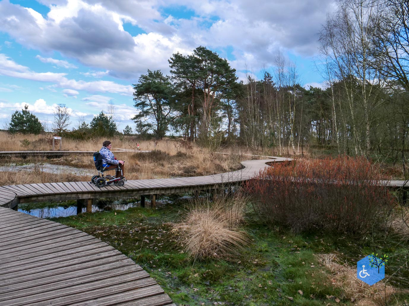 Heeze_Rolstoelpad_De_Plaetse_22-03-2025-25