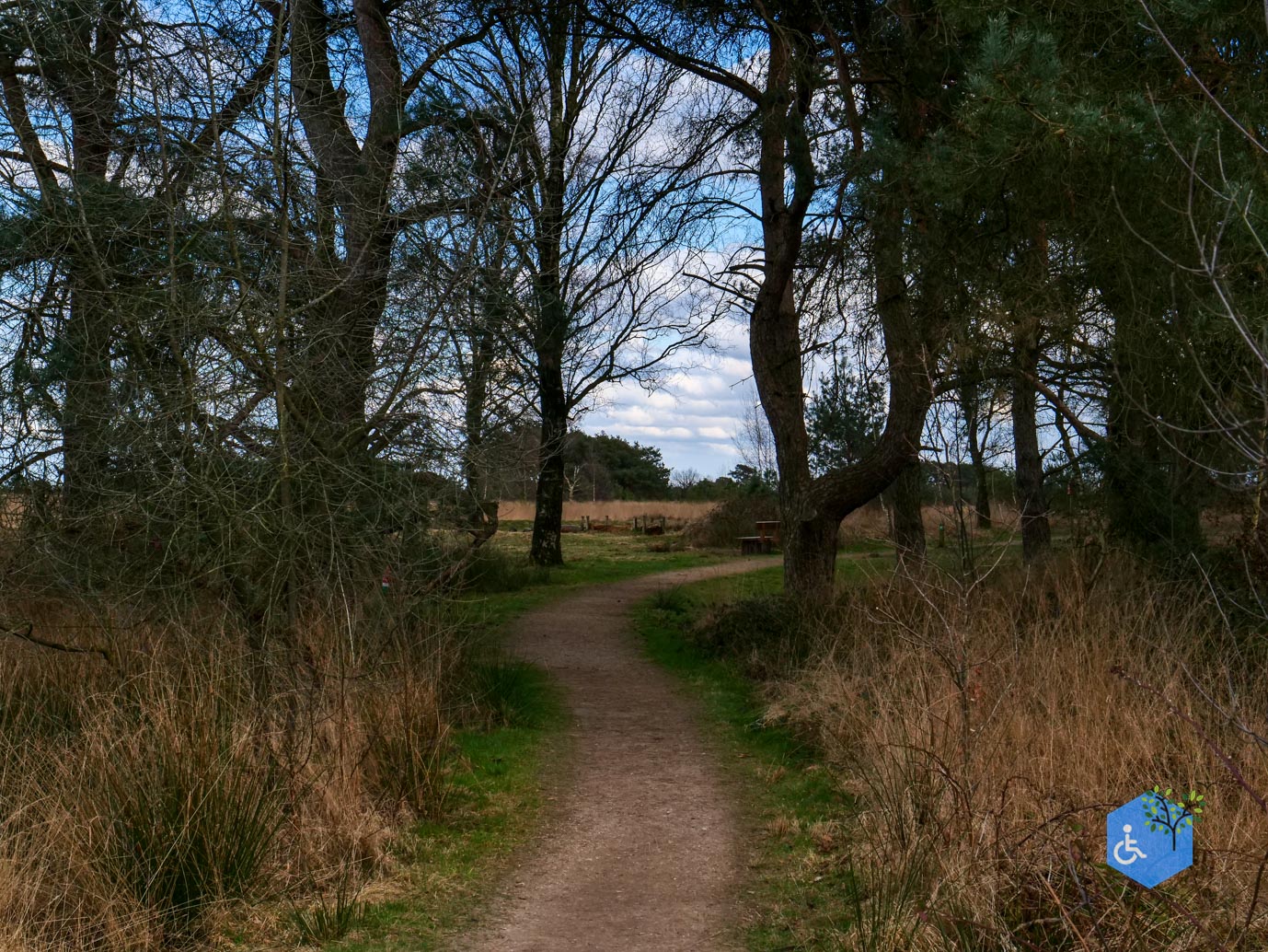 Heeze_Rolstoelpad_De_Plaetse_22-03-2025-28