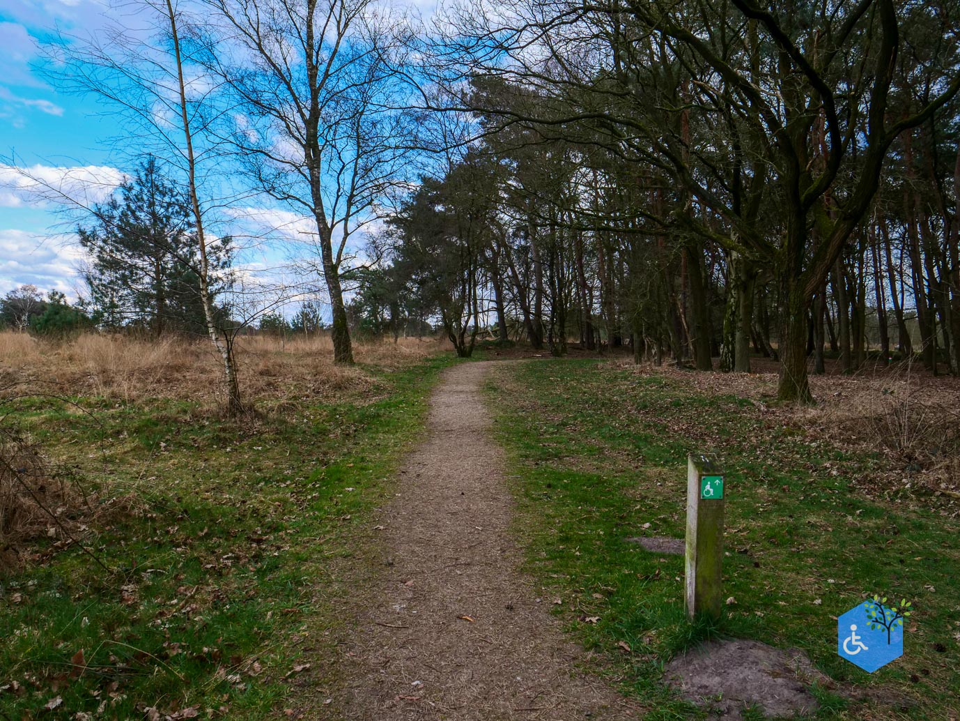 Heeze_Rolstoelpad_De_Plaetse_22-03-2025-30