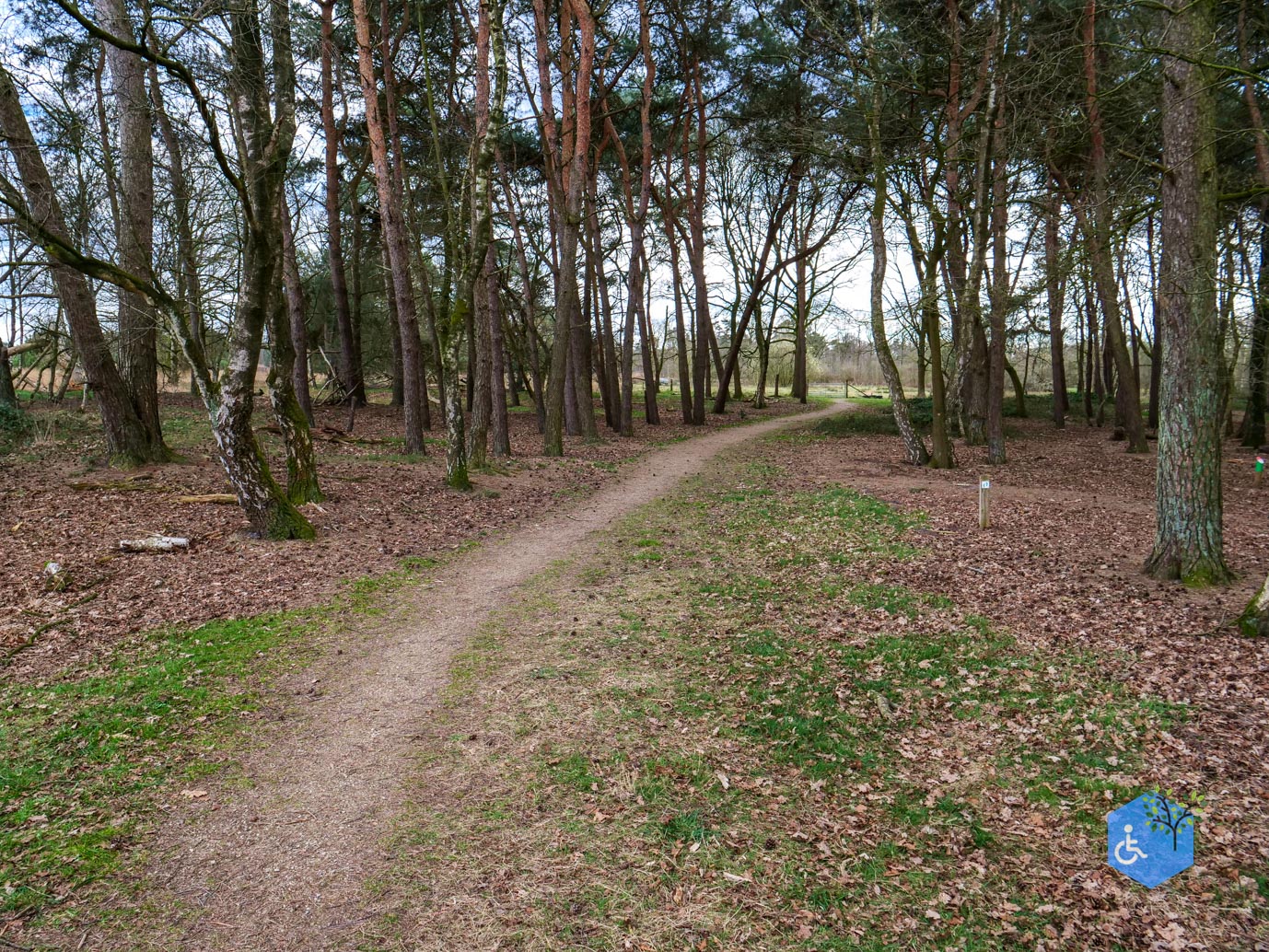 Heeze_Rolstoelpad_De_Plaetse_22-03-2025-32