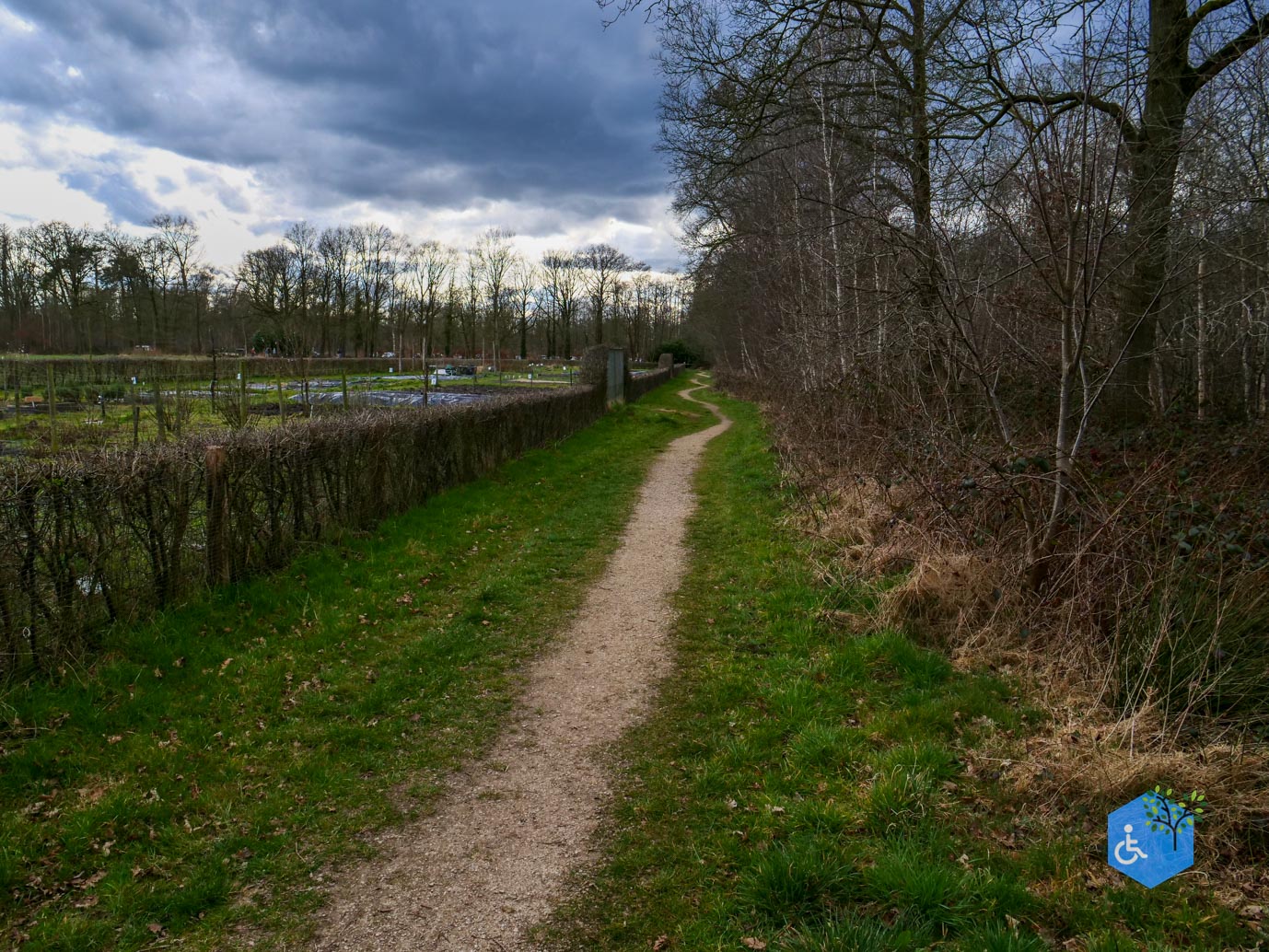 Heeze_Rolstoelpad_De_Plaetse_22-03-2025-34