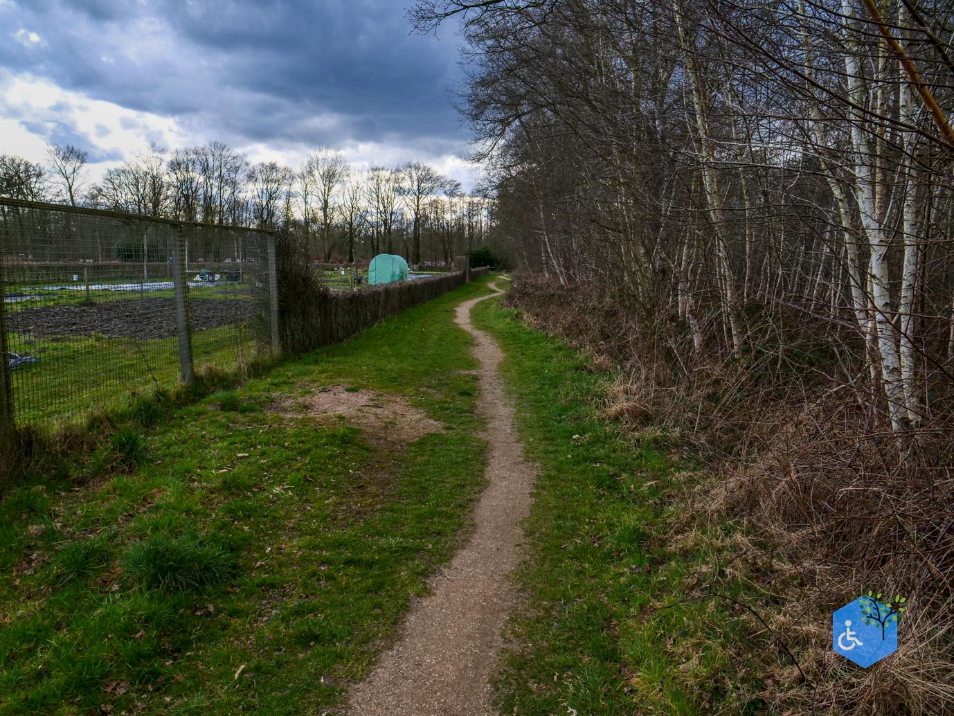 Heeze_Rolstoelpad_De_Plaetse_22-03-2025-35