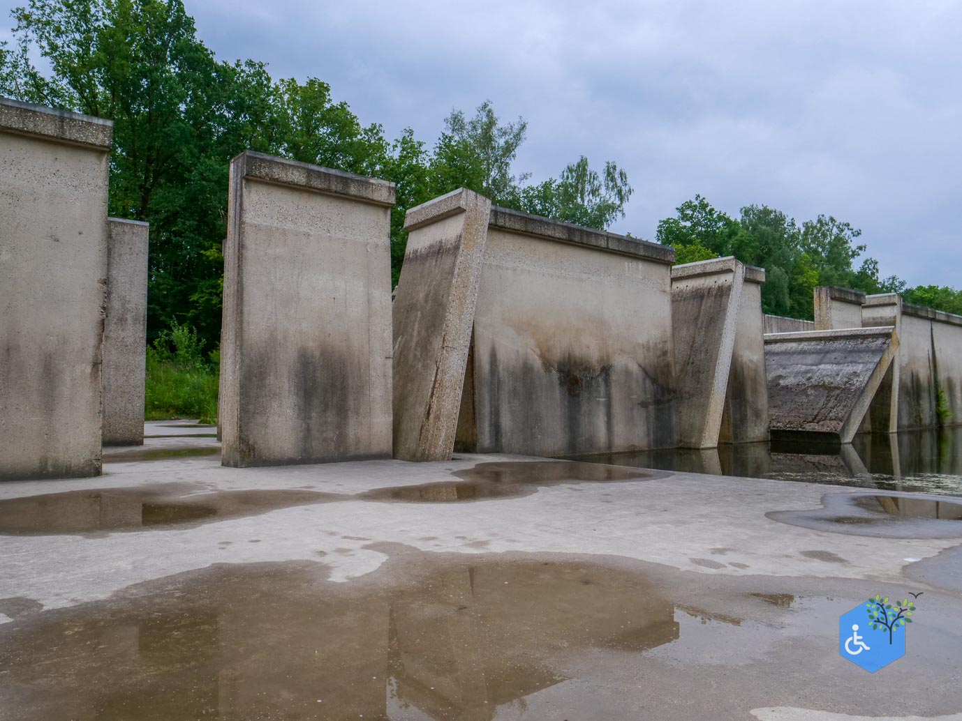 Marknesse_Waterloopbos_06-07-2025-012