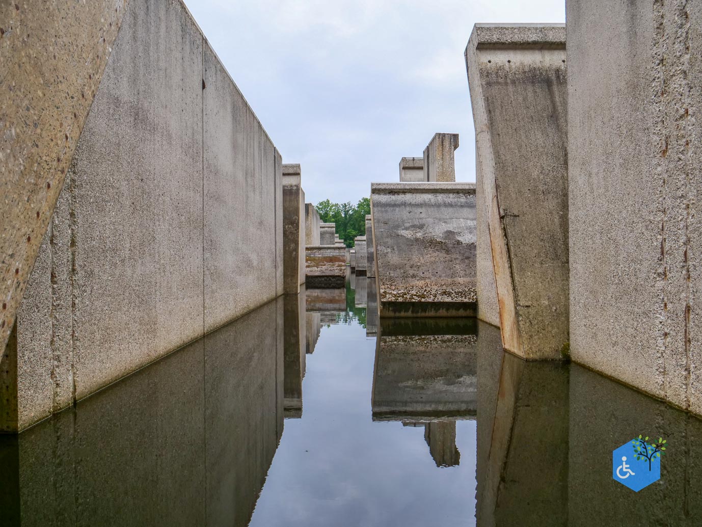 Marknesse_Waterloopbos_06-07-2025-015