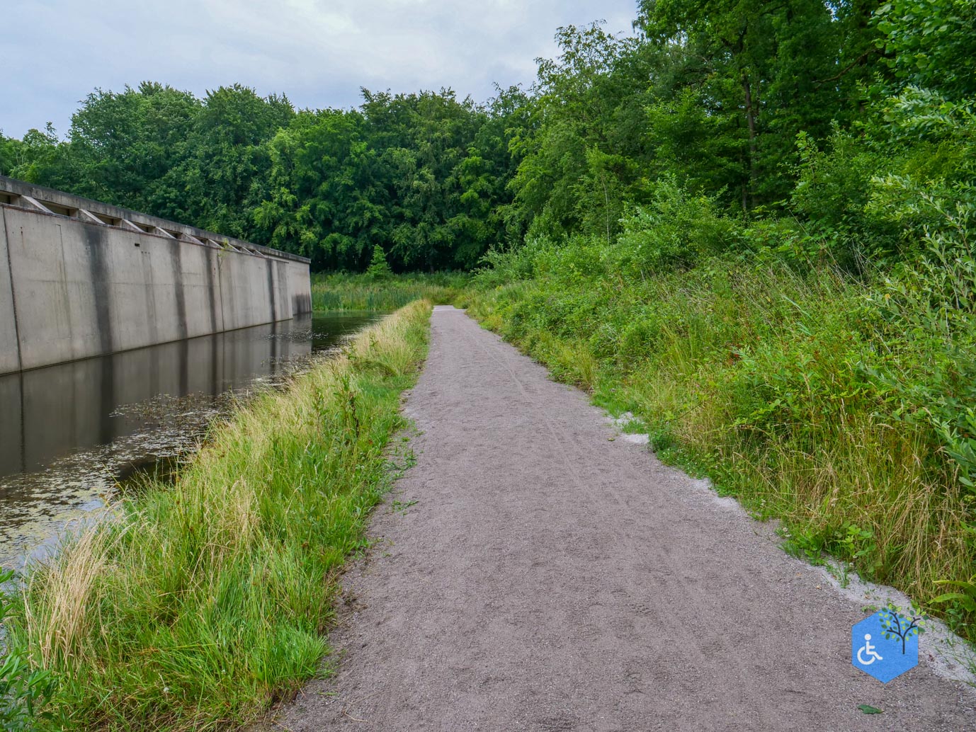 Marknesse_Waterloopbos_06-07-2025-020