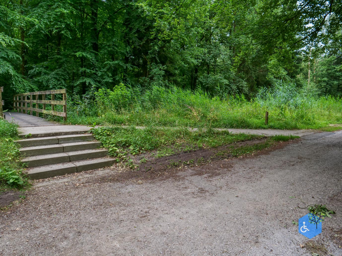 Marknesse_Waterloopbos_06-07-2025-021
