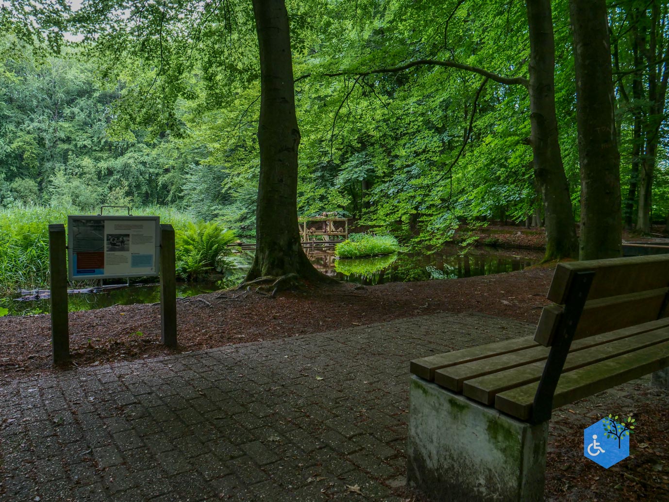 Marknesse_Waterloopbos_06-07-2025-027
