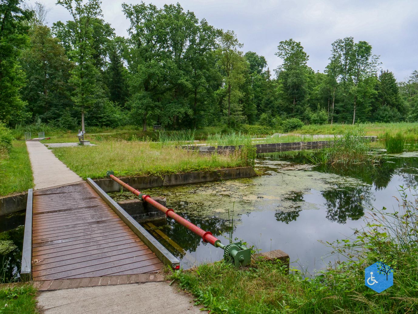 Marknesse_Waterloopbos_06-07-2025-033