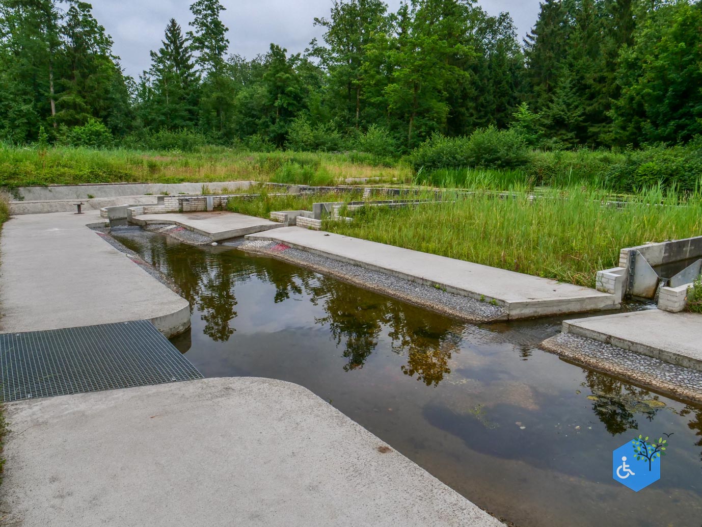 Marknesse_Waterloopbos_06-07-2025-036