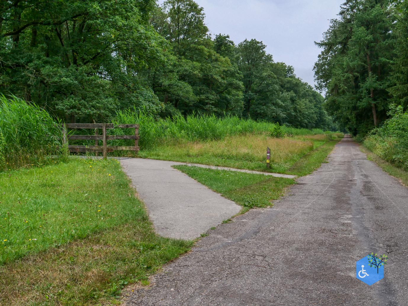 Marknesse_Waterloopbos_06-07-2025-042