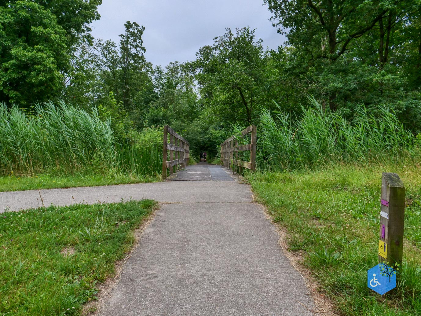 Marknesse_Waterloopbos_06-07-2025-044