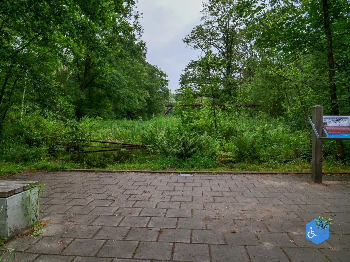 Marknesse_Waterloopbos_06-07-2025-048