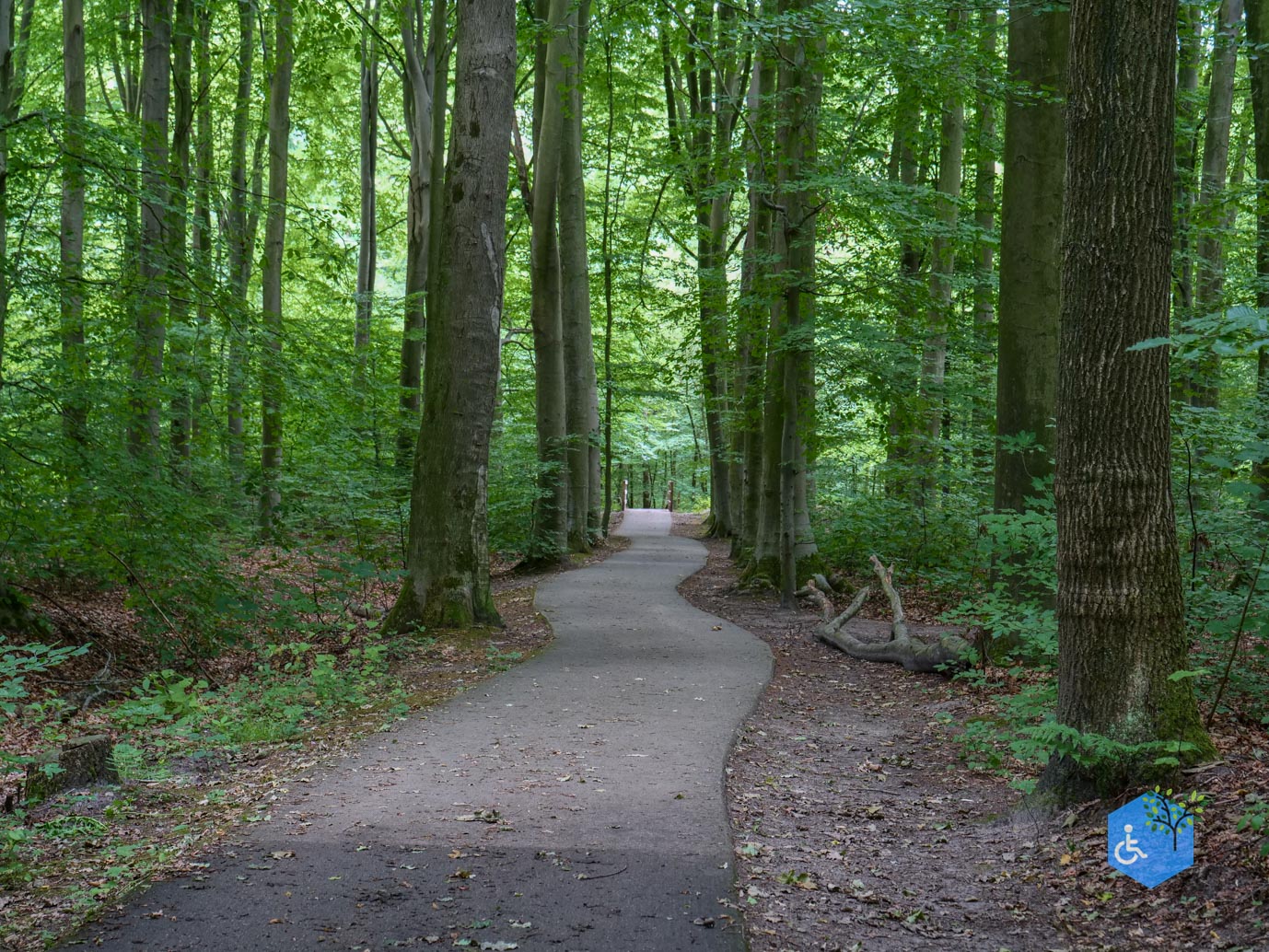 Marknesse_Waterloopbos_06-07-2025-058
