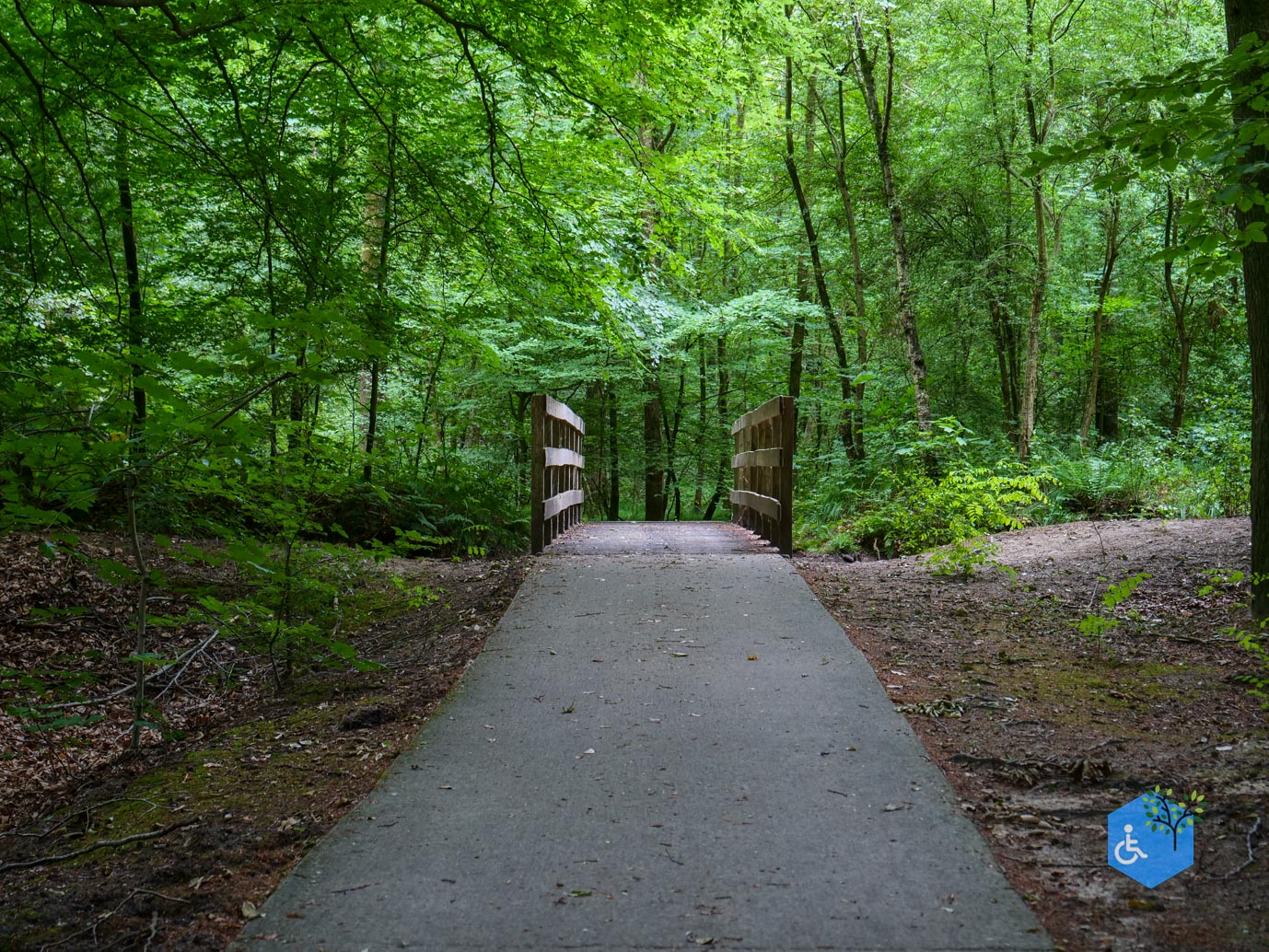 Marknesse_Waterloopbos_06-07-2025-059