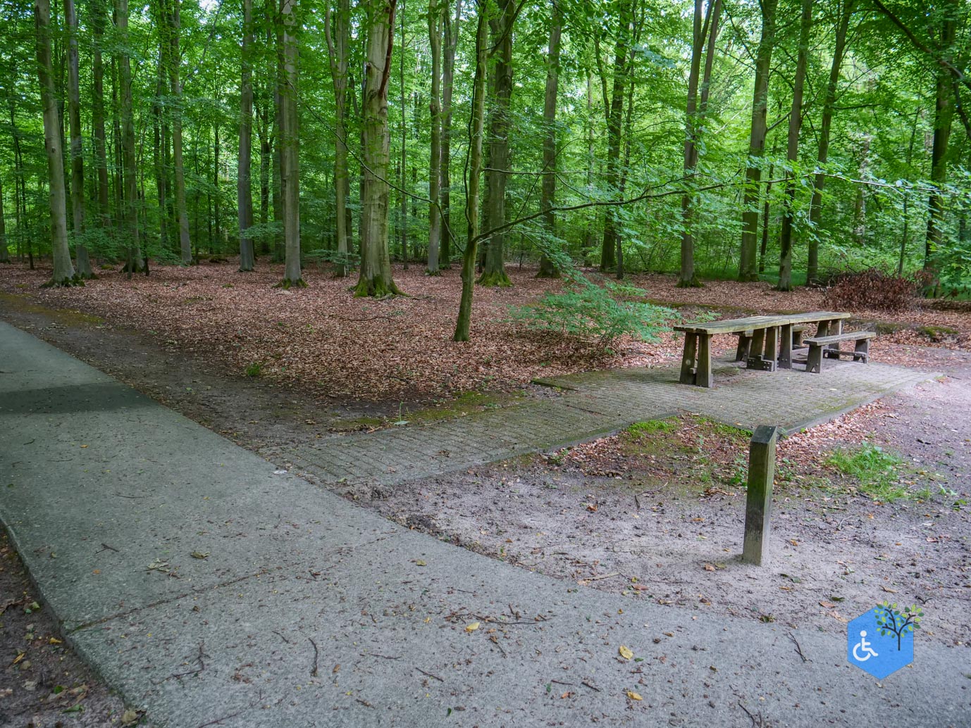 Marknesse_Waterloopbos_06-07-2025-061