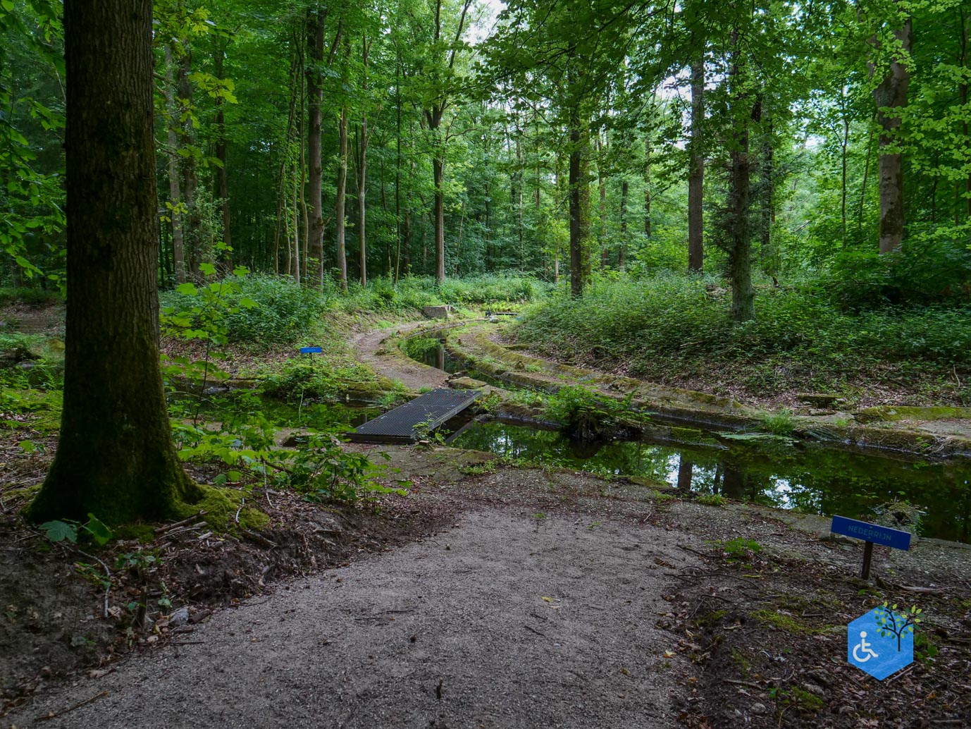 Marknesse_Waterloopbos_06-07-2025-077